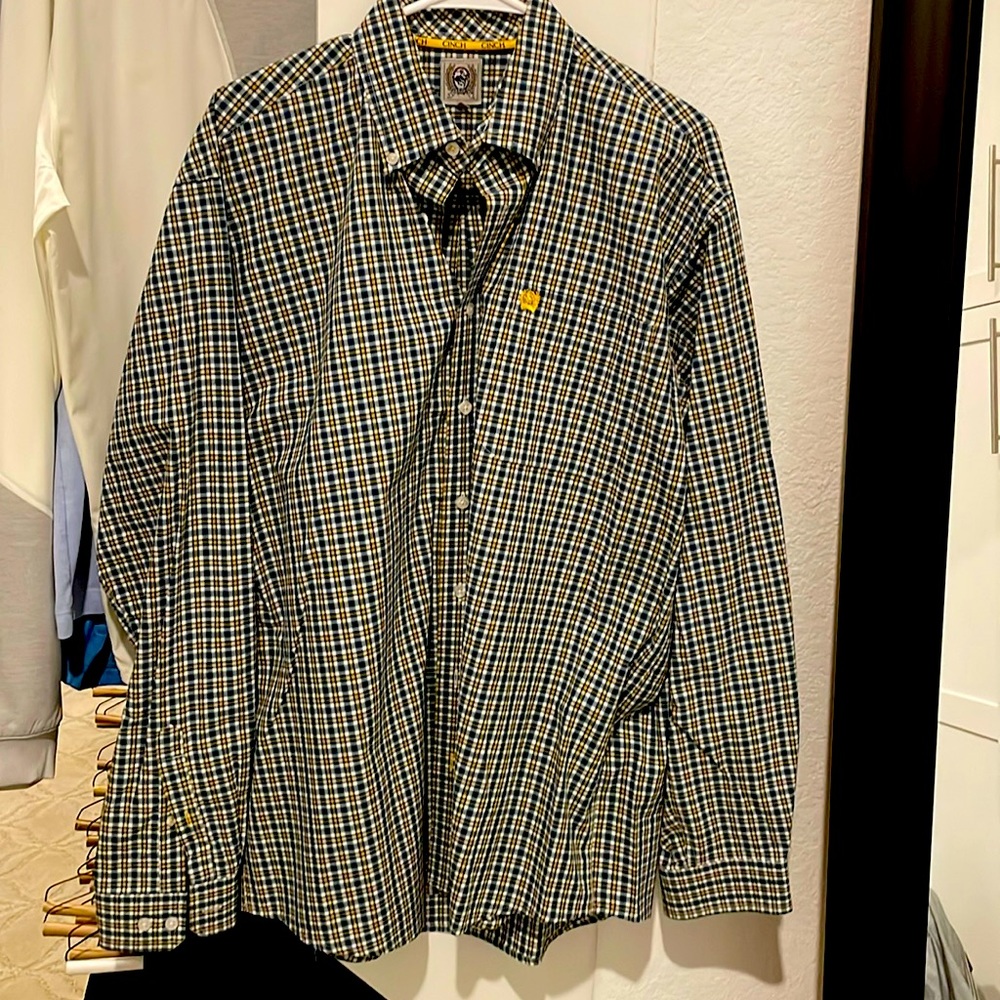 Cinch button down
